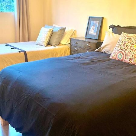 Amazing Cozy Apartment In Condesa Мехико Экстерьер фото