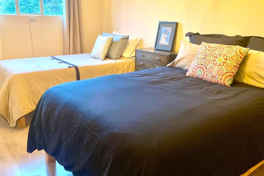 Amazing Cozy Apartment In Condesa Мехико Экстерьер фото
